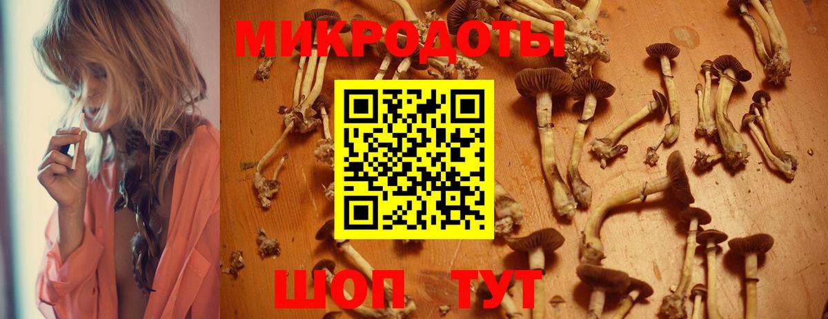 Псилоцибиновые грибы мицелий Городец