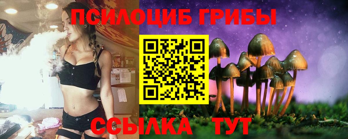 Псилоцибиновые грибы мухоморы  Вход с VPN  что такое   Псилоцибиновые грибы Psilocybine cubensis  Городец 